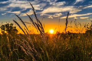 Předpověď počasí na zbytek jara 2025: Extrémní teploty, které Česko nepamatuje. Meteorologové nás už předem varují