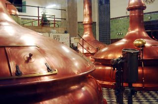 Pivo v nejbližší době levnější nebude. Minipivovary doufají ve věrnost zákazníků