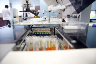 Unikl koronavirus z laboratoře? Američtí vědci to v soukromí nepopírali