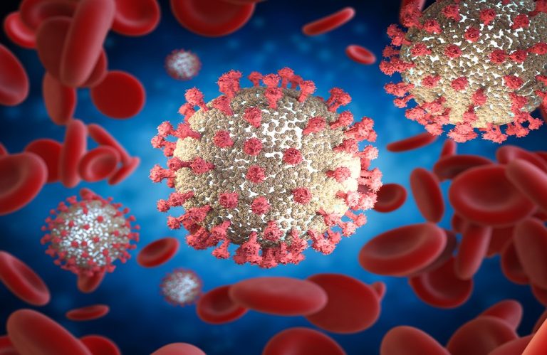 Omikron se šíří i v zemích s vysokou úrovní imunity obyvatelstva. Experti tomu nerozumí 1 koronavirus covid 1