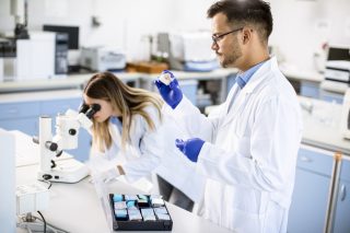 V Bavorsku zachytili nebezpečný bornavirus. Může způsobovat smrtící záněty mozku