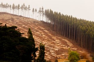 Uživatelé kokainu ničí životní prostředí, zaznělo na klimatické konferenci OSN