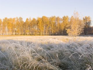 Víkendové počasí zaskočí nejednoho z nás. Meteorologové přichází s novou předpovědí, která překvapila i je samotné