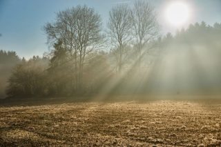 Zítra poprvé naměříme dvacet stupňů. Mohou padnout i teplotní rekordy
