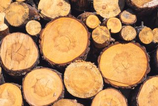 Češi nakupují dřevo a uhlí ve velkém. Důvodem je strach z růstu cen energií