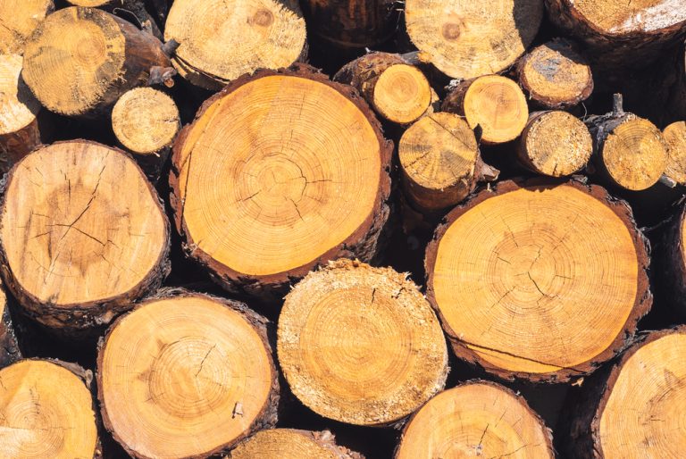 Češi nakupují dřevo a uhlí ve velkém. Důvodem je strach z růstu cen energií 1 drevo