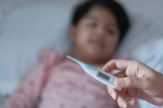 Pár kilometrů od Česka řádí západonilská horečka. Podle Romana Prymuly se může nemoc časem objevit i v Česku