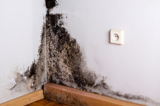 Vykašle se na nás Fialova vláda? Někteří lidé budou muset žít za hrozných podmínek, protože nebudou mít na zaplacení energií