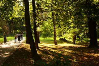 Víkendová otočka počasí: Teploty se změní k nepoznání. Vše prozradila meteoroložka Honsová