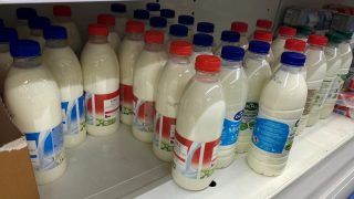 Test kvality mléka z velkých obchodů: Které z následujících řetězců Lidl, Kaufland a Penny ho má nejkvalitnější a nejchutnější?