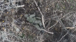 Další útok drony na sebe nenechal dlouho čekat. Ukrajinci na videu likvidují Putinovi armádu. „Pěkné sny,“ vzkazují