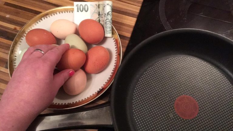 Evropská unie nám zakáže pánve na vaření. Za nové si zaplatíme sami 1 vejce panev cena penize