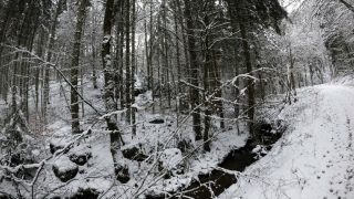 Lidé o víkendu vítali jaro, zima ale ještě neřekla poslední slovo