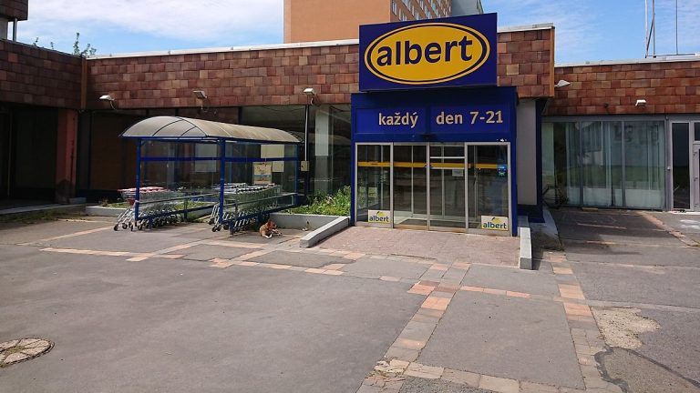 albert