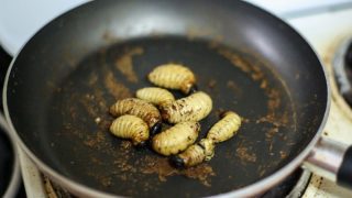 EU rozhodla: V některých potravinách v Česku budou červi. Larvy potemníka moučného dostaly zelenou