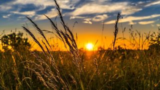 Počasí o víkendu chystá náhlou změnu teplot. Skok o desítky stupňů bude běžný. Meteoroložka Dagmar Honsová řekla, co nás čeká