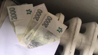 Trik s radiátorem, který by měli znát všichni Češi. Jedna maličká úprava a můžete ušetřit tisíce korun