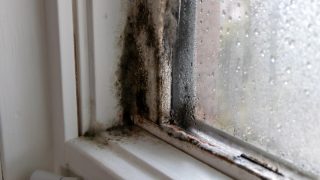 Češi mají větší zájem o podnájmy ve špatné kvalitě. Chtějí tak ušetřit