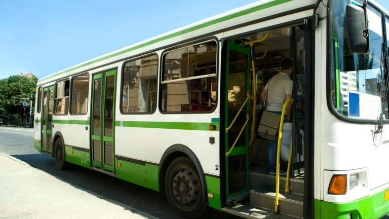 autobus obrazek edited