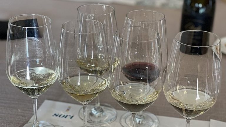 V Tescu a Albertu se prodávalo falšované víno ze zahraničí 1 vino sklenice