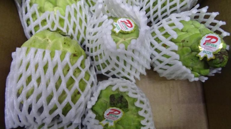 ovoce szpi zachyt pesticidy