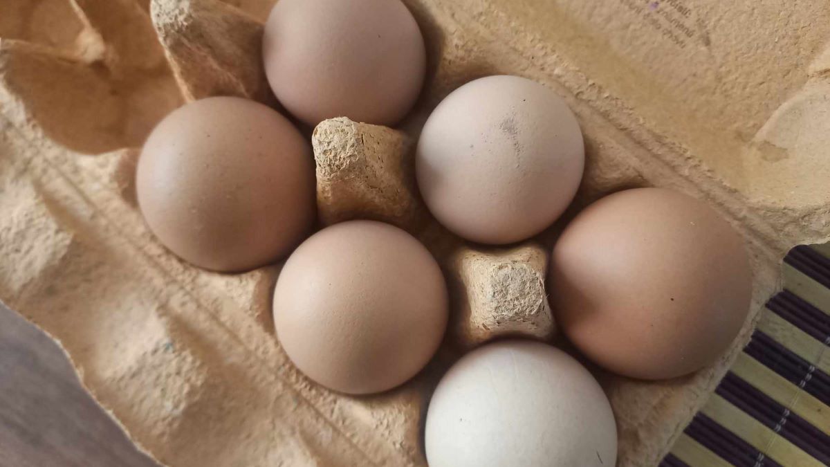 Z obchodů museli stáhnout stovky tisíc vajec. Jsou zdravotně velmi nebezpečná. Pokud na sobě mají tenhle kód, hned je zlikvidujte