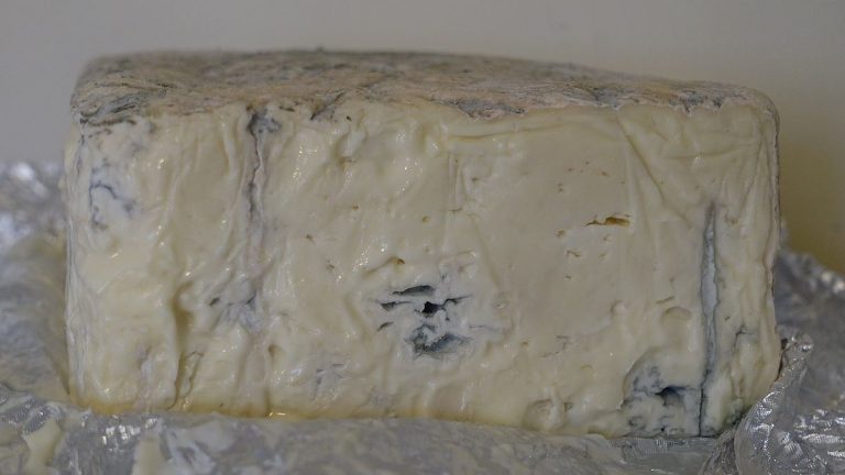 Známý řetězec v Česku stahuje z prodeje oblíbený sýr. Hrozí zdravotní problémy, co nejdříve se ho zbavte 1 gorgonzola syr plisnovy niva