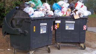 Za hrabání se v popelnicích mohou lidé získat 1 500 000 Kč ročně. Nejde o vtip