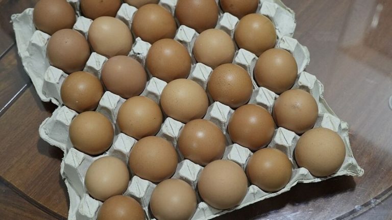 Vajíčka se v českých obchodech už nebudou prodávat. Už se to blíží, tohle nebude jen tak 1 vejce vajicka 1