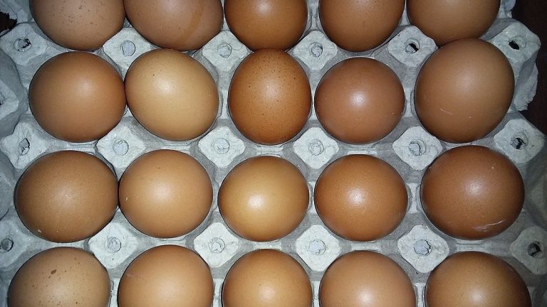 Konec vajíček v obchodech? Blíží se něco, co se Čechům vůbec líbit nebude 1 vejce vajicka