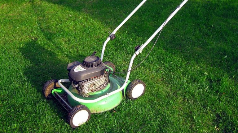 Češi musí uhradit poplatek za sekačku na trávu. Jinak dostanou pokutu 1 sekacka trava travnik
