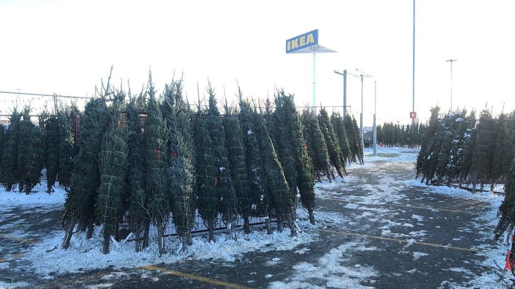 vanocni strom stromky