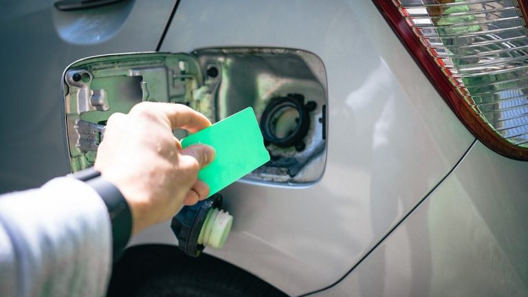 Placení v České republice čeká velká revoluce: Hotovosti a kartám odzvonilo. Teď budeme platit autem 1 auto tankovani placeni