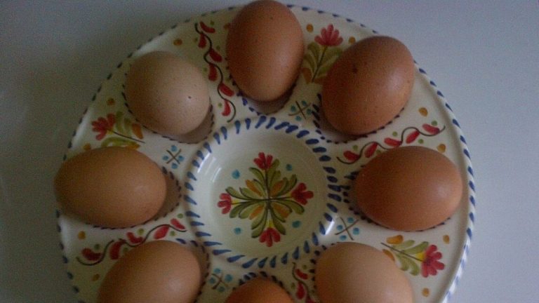 vejce vajicka