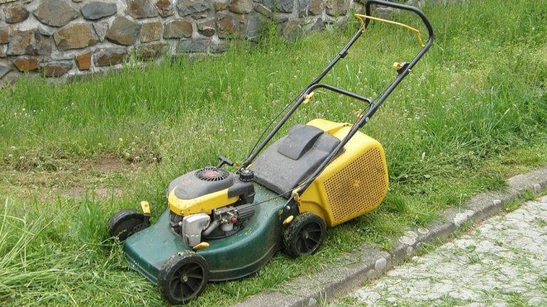 Pokuta až 500 000 Kč za ne sekání trávníku na své vlastní zahradě: V ČR realita, na kterou musíme být připraveni 1 sekacka travnik zahrada trava