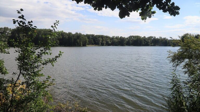 Nejkrásnější koupání v celé republice se nachází pár minut od Prahy: Za vstup se neplatí ani 1 Kč a voda je úplně průzračná 1 jezero sadska rybnik voda koupani