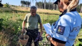 Jezdíte autem na houby? Za tento nešvar hrozí pokuta 10 tisíc korun. Dejte si pozor, policie to kontroluje