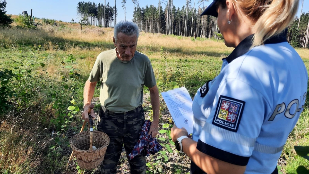 Jezdíte autem na houby? Za tento nešvar hrozí pokuta 10 tisíc korun. Dejte si pozor, policie to kontroluje