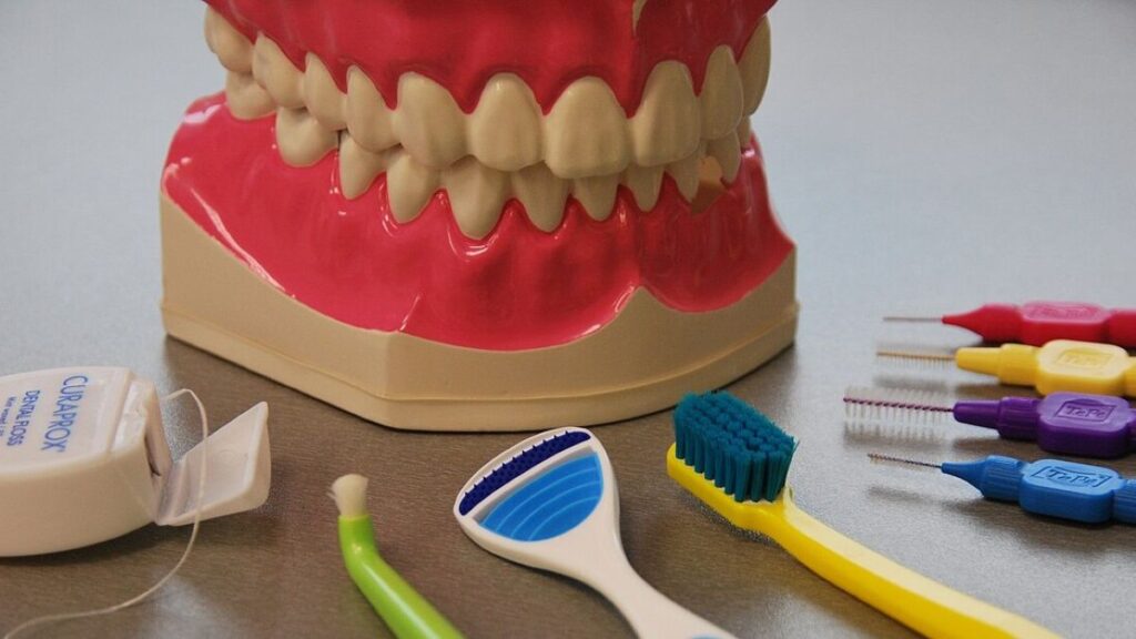 dentalni hygiena zubar zuby zubni kartacek